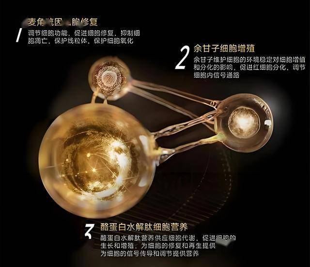wetrade众汇官网大连商品交易所的崛起，你认为将会如何作用将来市场格局？